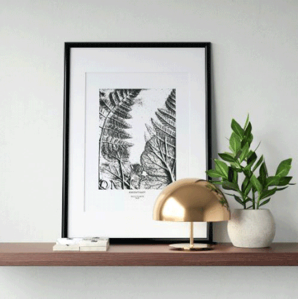 Poster mit Pflanzen in schwarz weiß