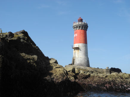 Excursions nautiques, faune, flore, phares au départ du Conquet