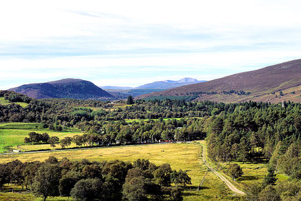 Blick vom Creag Choinnich in die Highlands