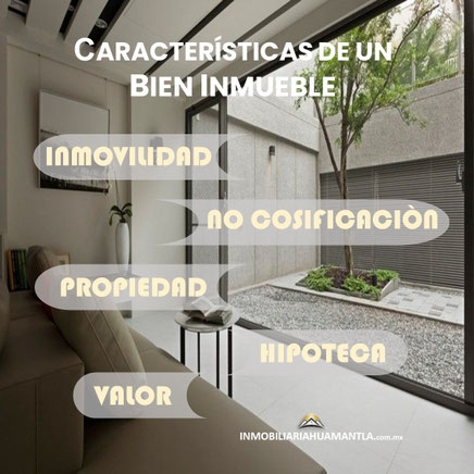 Caracteristicas de un bien inmueble