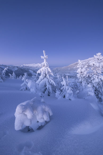 Glaubenberg Winter