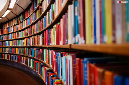 Грузия вошла в мировую пятерку по изданию книг