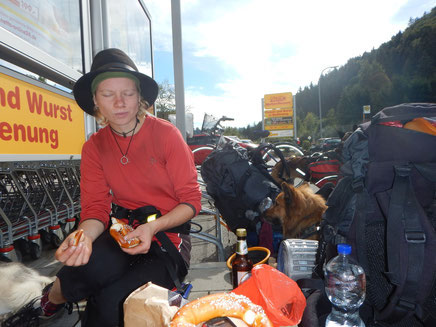 Jurasteig Dogtrekking Dogtrekking Dogtrekking Elbsandstein-Dogtrekking ESDT Harz-Dogtrekking