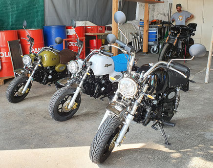 Minibike Skyteam Skybongo Honda Gorilla Honda Monkey Honda Dax Skyteam Moto