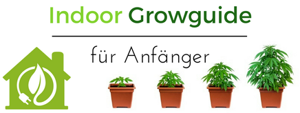 Indoor Hanfanbau Growguide