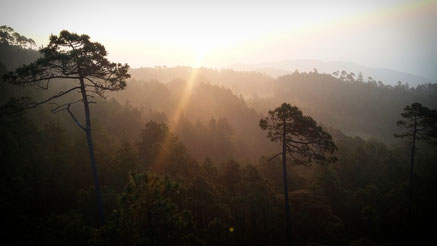 Taken in Llano Grande in 3200 m above sea level at 6am to see this stunning sunrise. There I remembered what I really need in life...