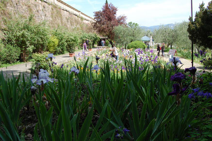 Florence top things to do -  Gardens