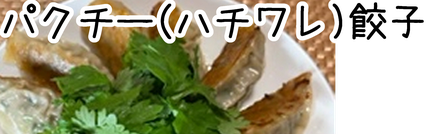 ハチワレレシピTOP  ハチワレ（パクチー）餃子TOP