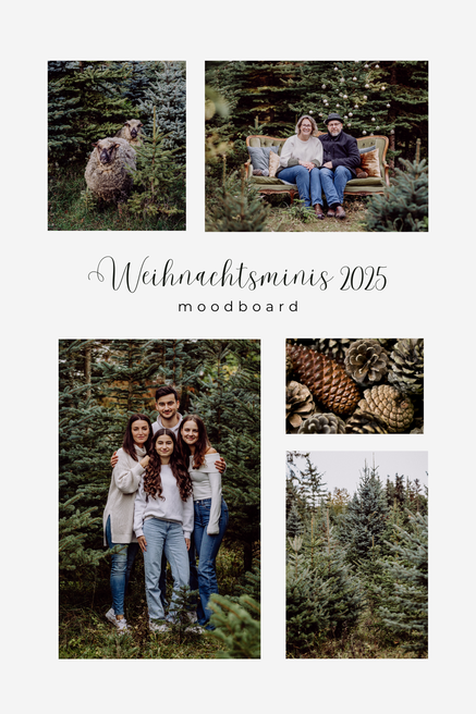 Collage aus vier Bildern, auf allen Bilder sind viele Tannenbäume zu sehen, auf einem Bild sind zwei Schafe, auf einem anderen eine Familie mit vier Personen, die auf einem Sofa zwischen den Tannen sitzt