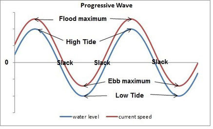 Progressive wave form of tidal currents in the open ocean