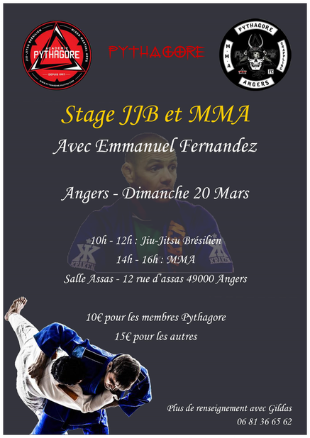 Affiche stage JJB et MMA