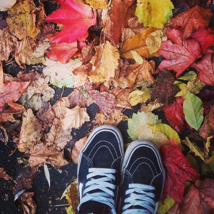 That was what I haven't seen for almost 3 years... Colorful autumn in Germany in Münster. Seeing and experiencing change. Exactly what I needed...