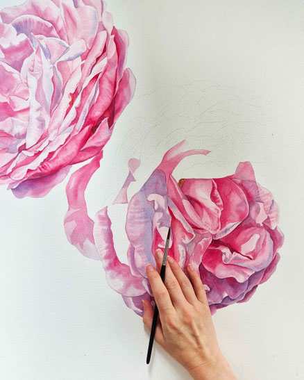 Rosen mit Aquarellfarben malen, wie malt man eine Rose, Tipps für Rosenaquarell, Blumenaquarell, botanische Illustration, Rose malen, Malkurs, online Malen lernen, wie mischt man Rosa
