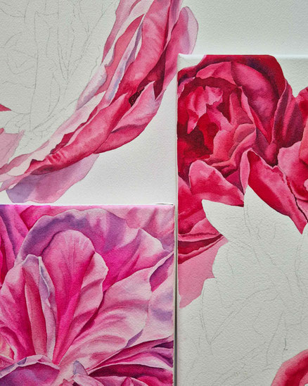 Rosen mit Aquarellfarben malen, wie malt man eine Rose, Tipps für Rosenaquarell, Blumenaquarell, botanische Illustration, Rose malen, Malkurs, online Malen lernen, wie mischt man Rosa