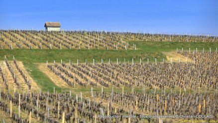 Saint-Seurin de Cadourne, trois vidéogrammes autour de la commune, afin de rester deux, trois jours à visiter. 1) Le Port de la Maréchale, 2) Vignobles et Châteaux, 3) Randonnées pédestres. Réalisation : Christian Coulais