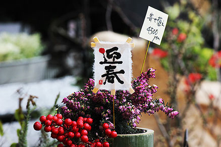 お正月飾り_寄せ植え3