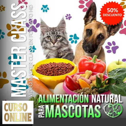 cursos online  para emprendedores, Alimentación Natural para Mascotas, cursos en linea con certificado,