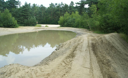 Fahrspur oberhalb des Wasserloches