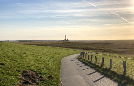 Blick über das Marschland auf den Leuchtturm