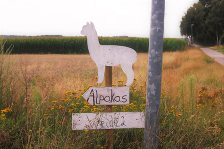 Achtet auf dein weißes Schild direkt am Feldweg links. Momentan ohne Alpaka. Standort Seelenheil-Alpakas ! 