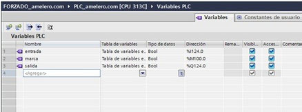 crear variables tia portal