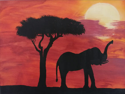 Safari