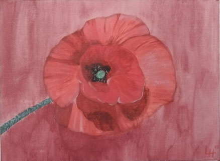 Mohnblumen strahlen einem entgegen als würden sie lächelnd Hallo sagen. 