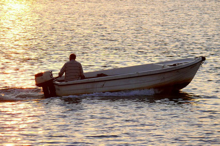 Boat Ride Ria Formosa Copyright Astacus