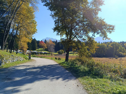 Der Tennsee ist ausgetrocknet