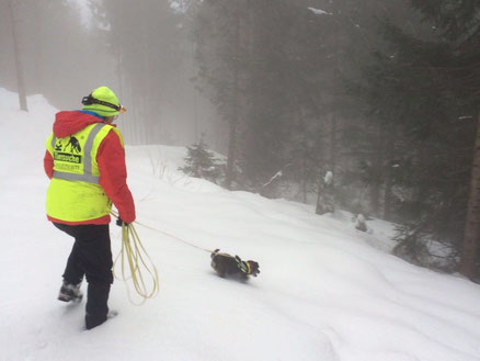 K-9® Tiersucheinsatz im Gebirge