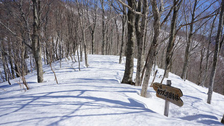 スキー場と白尾山を繋ぐ稜線
