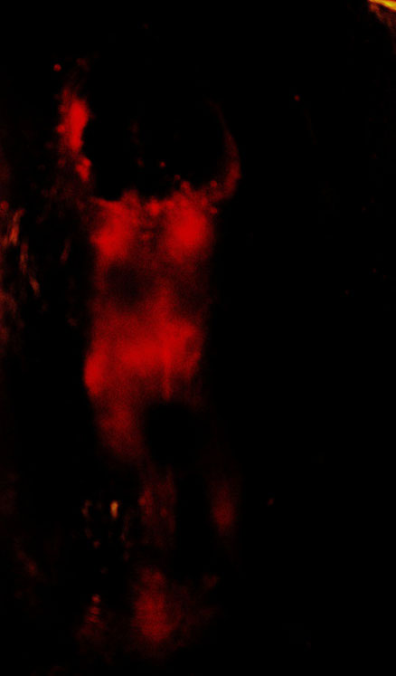 Rotes Tuch, Acryl auf Leinwand, 70x50, 2018