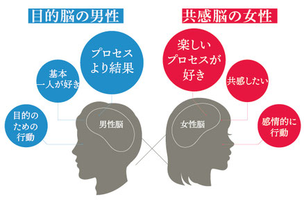 男性脳と女性脳の違い。婚活においてとても大切な思考の違い