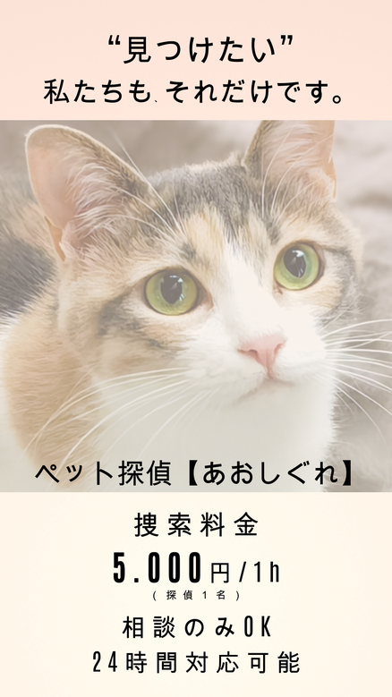ペット捜索は1時間5000円探偵１名からご依頼可能です。