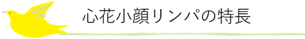 心花小顔リンパの特長