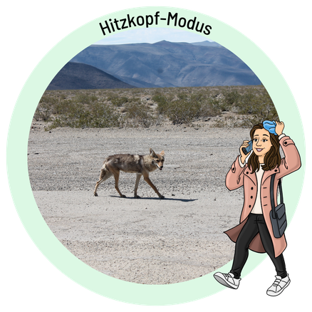 4 Fragen, die du dir täglich stellen solltest, wenn deine Augen trocken sind und beim Bewegen  schmerzen. Bonus: TCM Hilfe aus der Tee-Tasse.