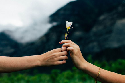 Eine Blume wird romantisch übergeben