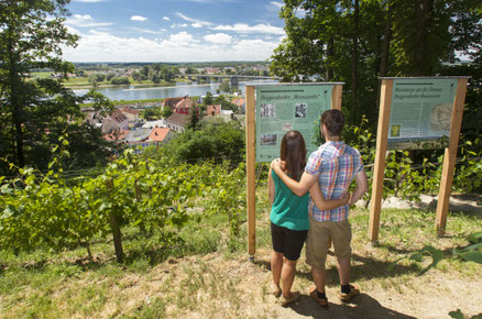 Wanderer im Stadtwald am Geiersberg