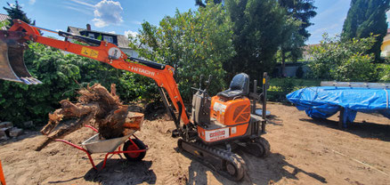 Bagger mieten, Bagger mieten Mannheim, Bagger mieten Worms, Bagger mieten Lampertheim, Bagger Mannheim, Bagger Heidelberg, Bagger leihen, Bagger Mannheim, Kompactlader, Bobcat, Maschinenvermietung, minibagger, Mini Bagger mieten, Mini Bagger 