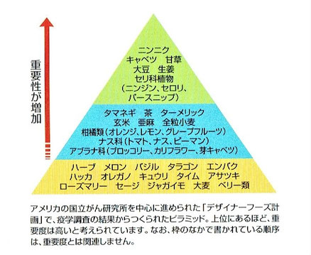 アメリカの国立がん研究所：「デザイナーフーズ計画」