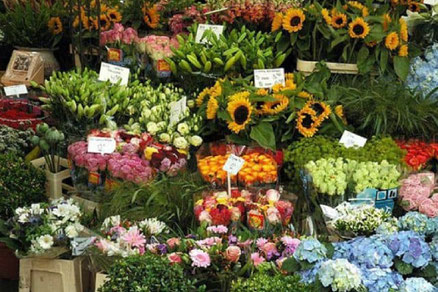 best Ho thi ky flower market Saigon ho chi minh