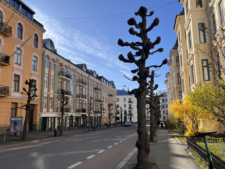Häuser im Stadtviertel Majorstuen