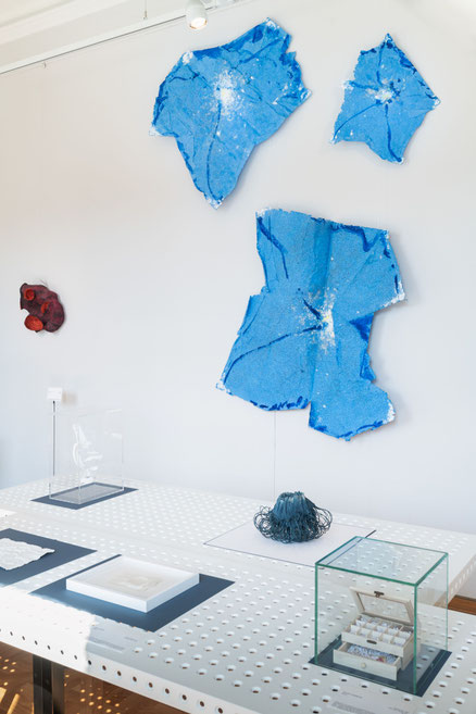 IPOMOEA TRICOLOR I-III, 2022, paper cast, pulp painting, pigment, ash, rain, folding, ink, photo © materialmatters