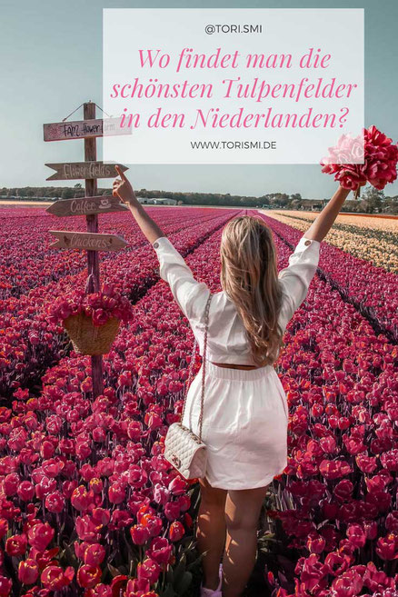 Im Blogartikel dreht sich allesum die Tulpenfelder bei Lisse.
