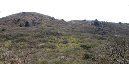箱根駒ヶ岳