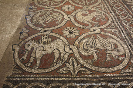 04 - Ganagobie - Monastère Notre-Dame - Mosaïque du chœur : Quatre médaillons circulaires occupés par des animaux : Griffon ailé, Eléphant, Monstre, Volatile (Transept Sud)