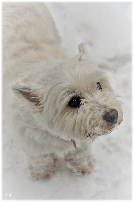 Sie liebt den Schnee & hat viel Spaß