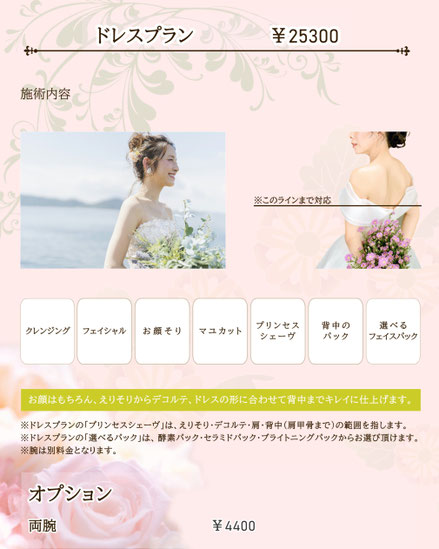 ドレスプランの説明と金額