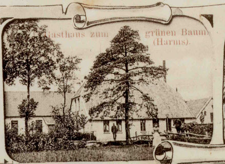 fälschlicherweise als "Zum grünen Baum" bezeichnet (Ansichtskarte 1904)