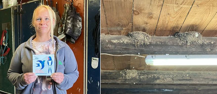 Frau Schröder vom Pferdehof in Dobersdorf mit Plakette (links) und Rauchschalbennester (Foto: NABU Preetz-Probstei)